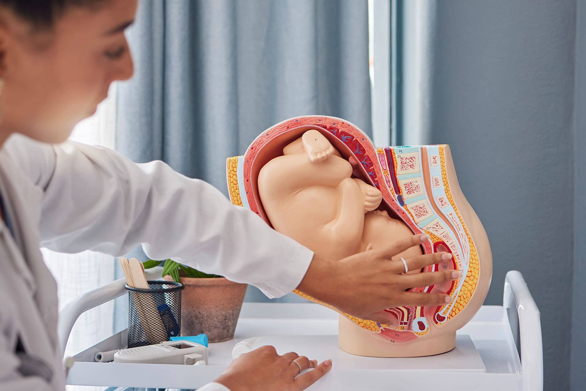 Doctora explicando posición del bebé en el embarazo