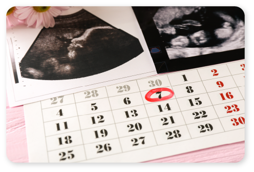 fecha-probable-de-parto-2