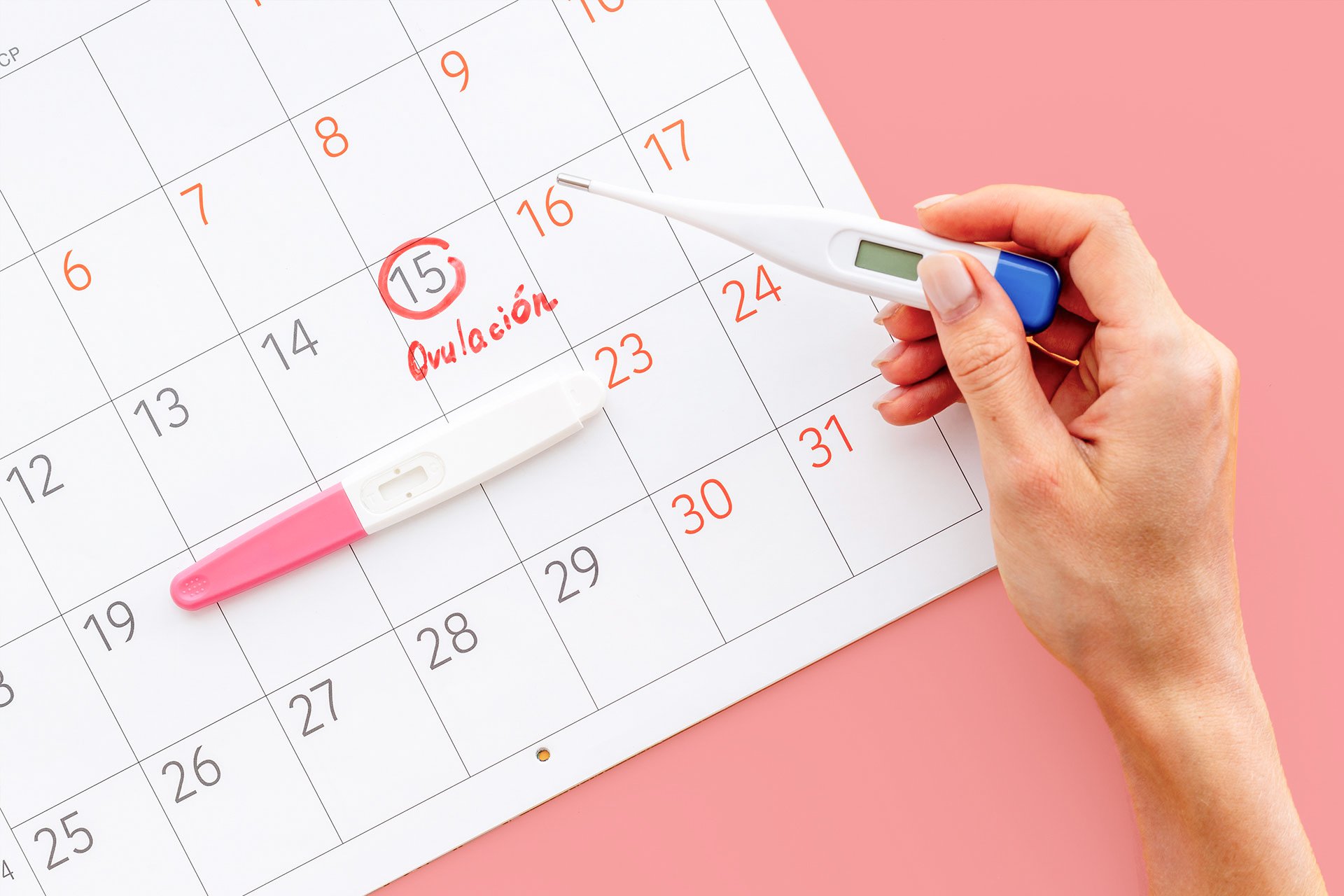 Calendario de ovulación